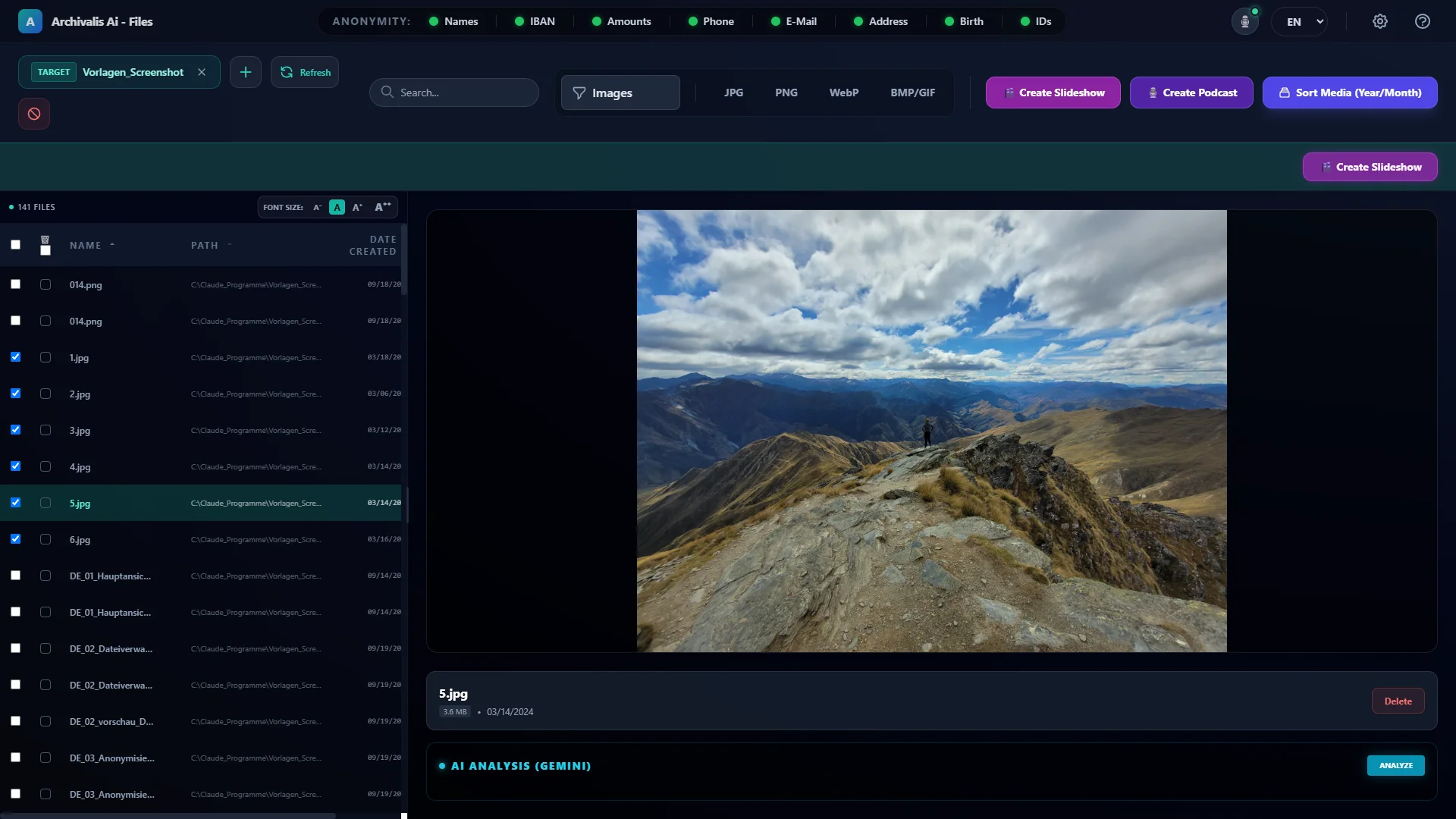 Archivalis AI – Files main window: file list with photos and a large landscape photo preview on the right
