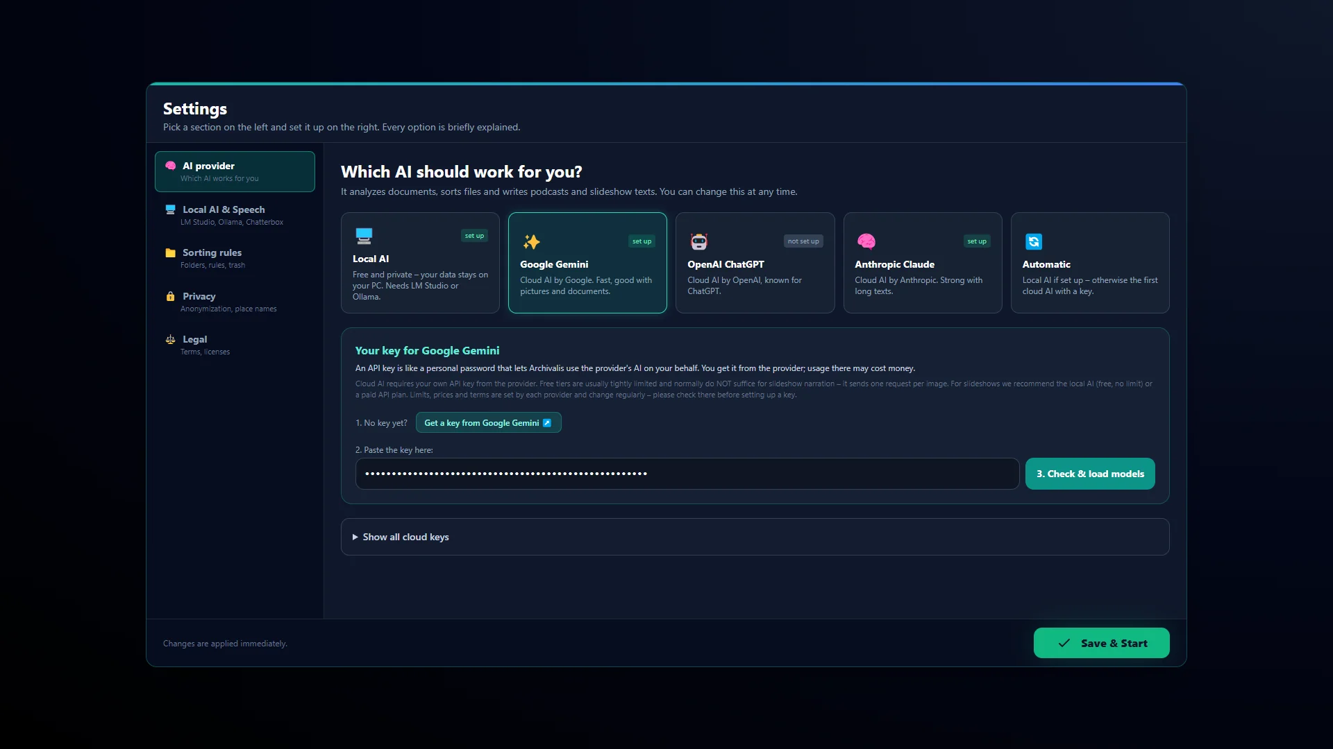 Settings “Which AI should work for you?”: cards for local AI, Google Gemini, OpenAI ChatGPT, Anthropic Claude and Automatic
